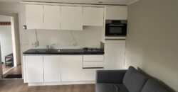 Chalet 12 x 4.2 m Middenkamer CV